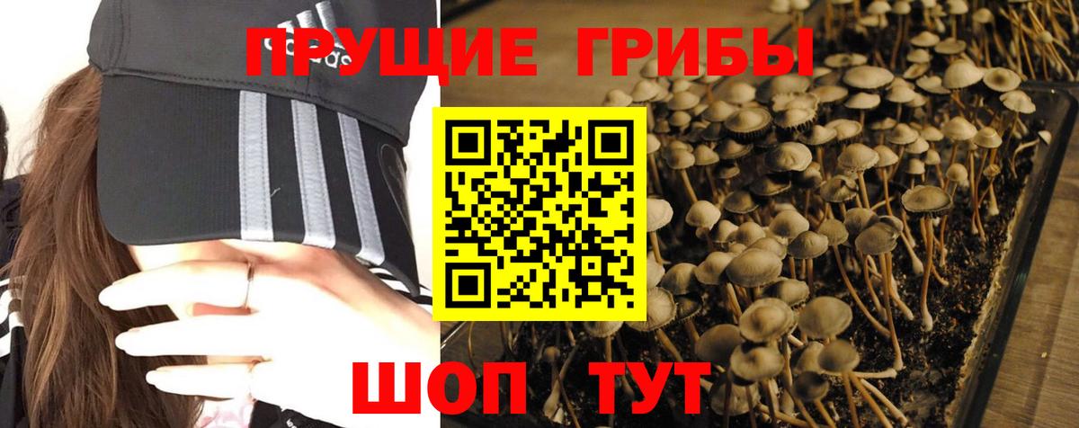 Калуга  Галлюциногенные грибы Magic Shrooms  Вход с VPN  Псилоцибиновые грибы Cubensis 